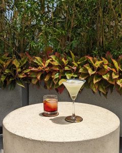 DRINKS (8)